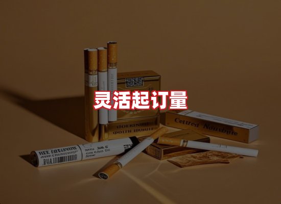 专业团队